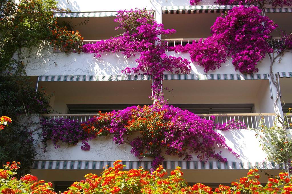 Hotel Pietracap Ville-di-Pietrabugno Kültér fotó